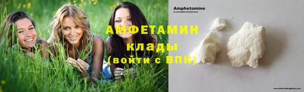 ПСИЛОЦИБИНОВЫЕ ГРИБЫ Богданович