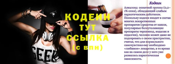 ПСИЛОЦИБИНОВЫЕ ГРИБЫ Богданович