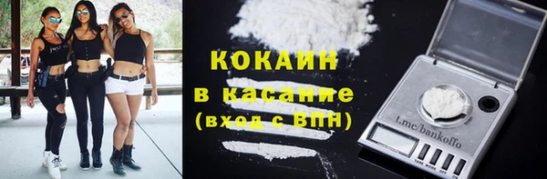 ПСИЛОЦИБИНОВЫЕ ГРИБЫ Богданович
