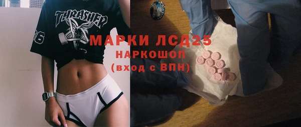 ПСИЛОЦИБИНОВЫЕ ГРИБЫ Богданович