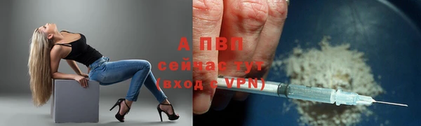 ПСИЛОЦИБИНОВЫЕ ГРИБЫ Богданович