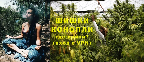 Альфа ПВП Богородск