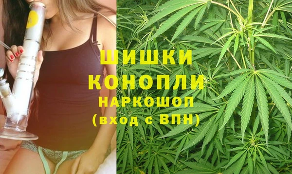 ПСИЛОЦИБИНОВЫЕ ГРИБЫ Богданович