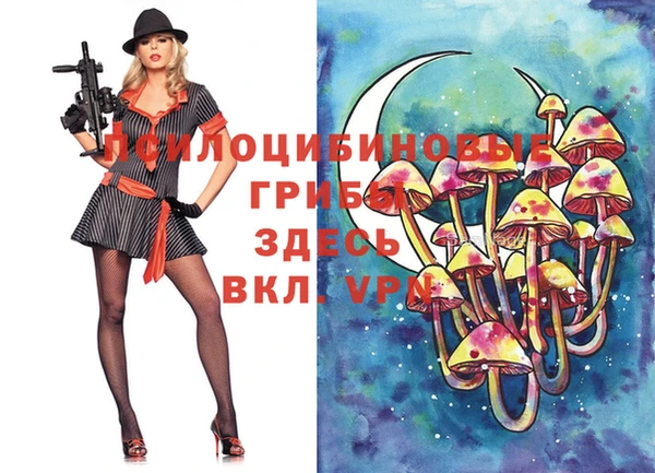 ПСИЛОЦИБИНОВЫЕ ГРИБЫ Богданович