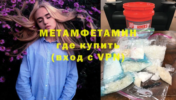 ПСИЛОЦИБИНОВЫЕ ГРИБЫ Богданович